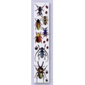 2" x 7-1/2" Stock Full Color Bookmarks (Insect)